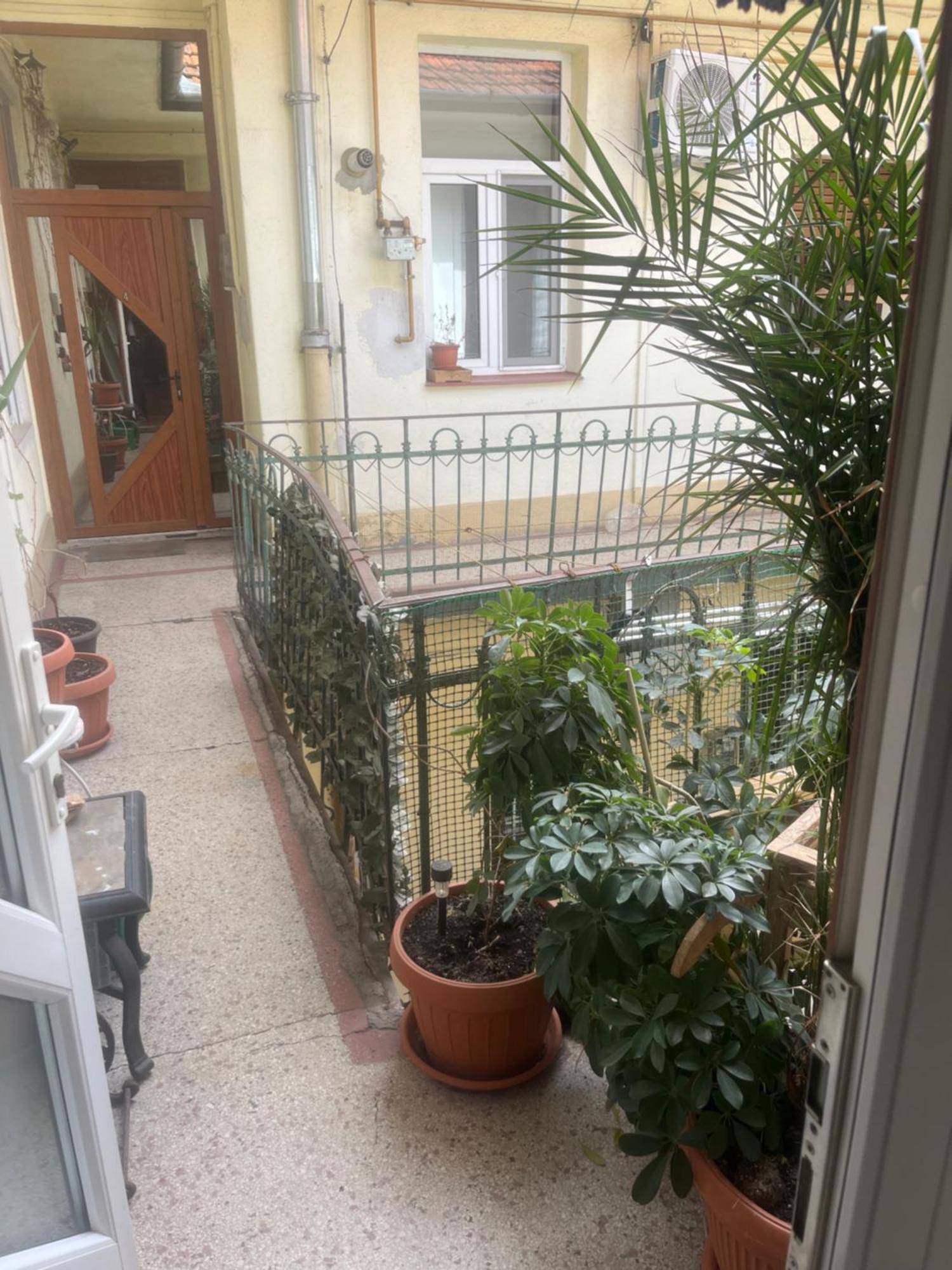 Sia'S Home Oradea Exteriér fotografie
